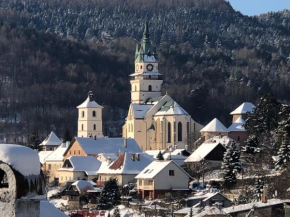 Apartmán v centre Kremnica